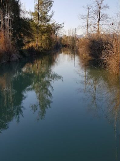 Área de recreo presa del río Muerto