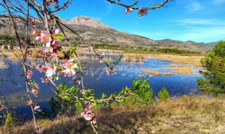 visita la albufera de Gaianes