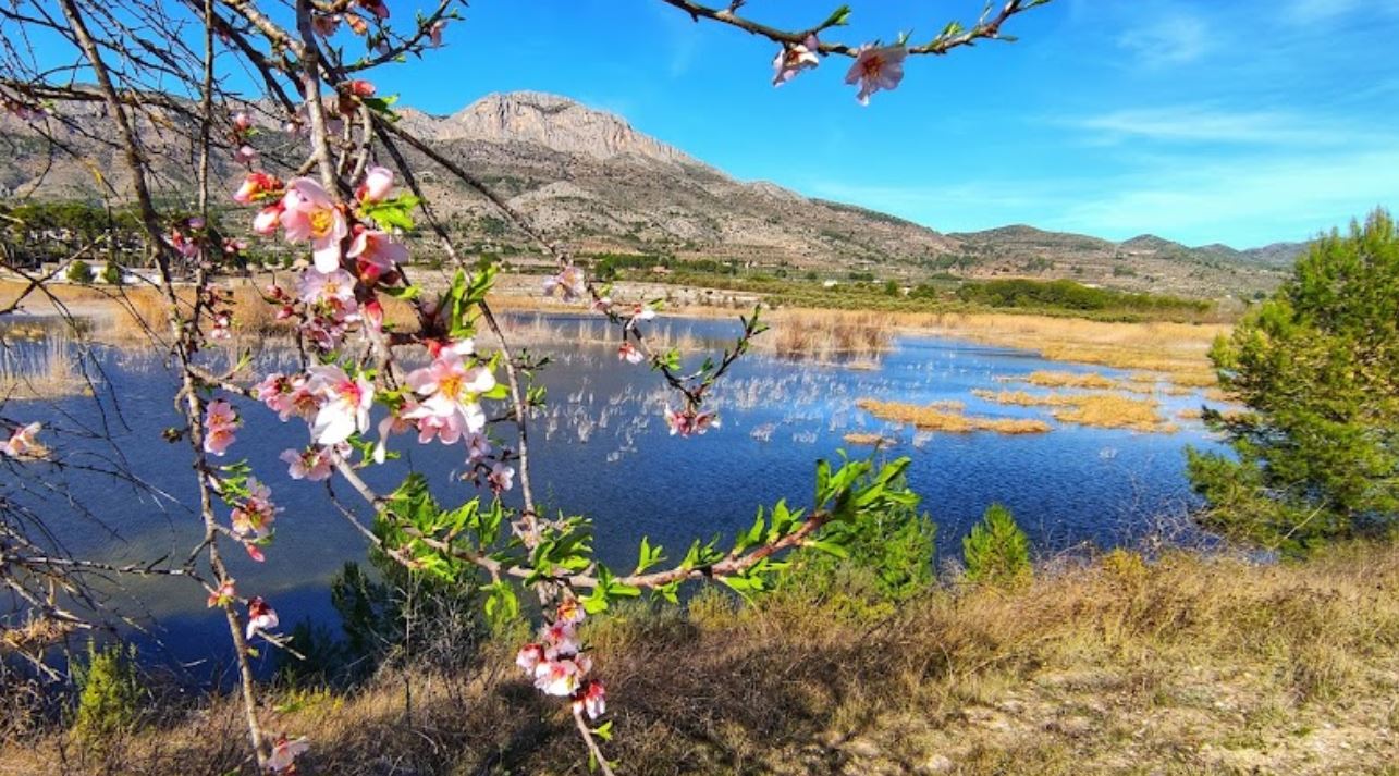 visita la albufera de Gaianes
