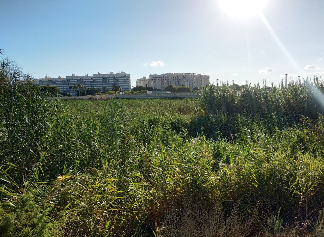 Ruta por el rio seco de Campello