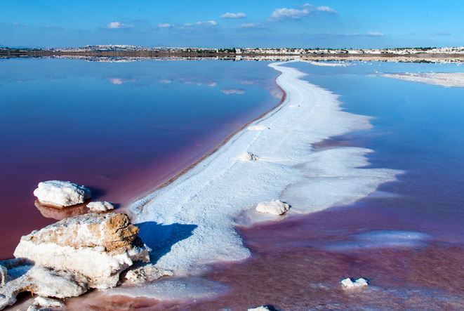 brazo de sal en la laguna rosa