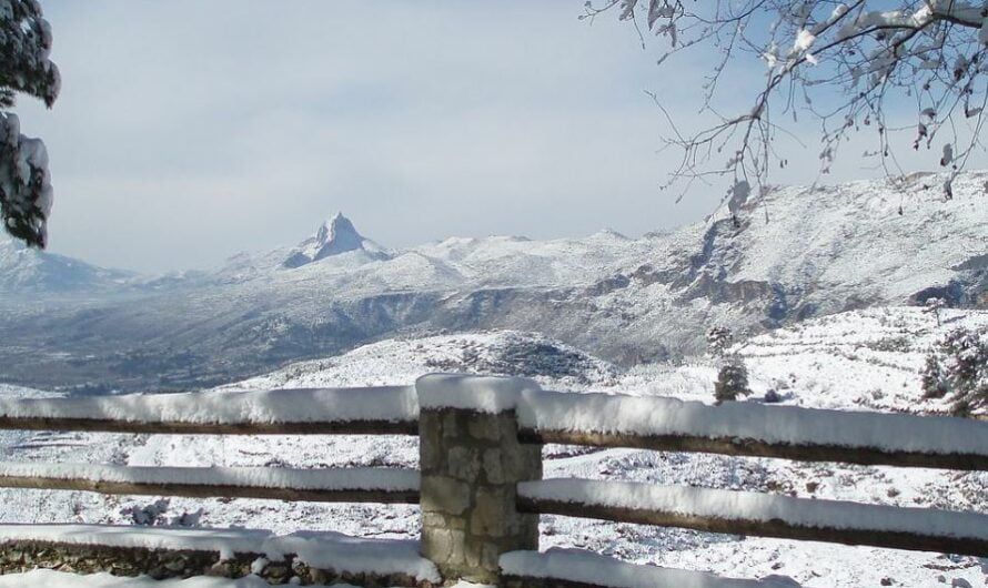 Área recreativa de La Font dels Olbits