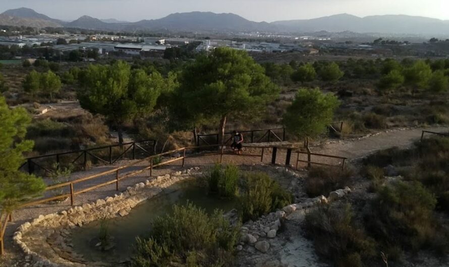 Área recreativa Pinada del Trinitario en Elda 