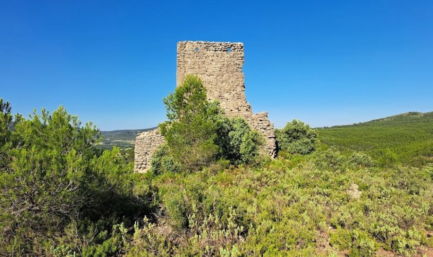 El Castell del Vinalopó