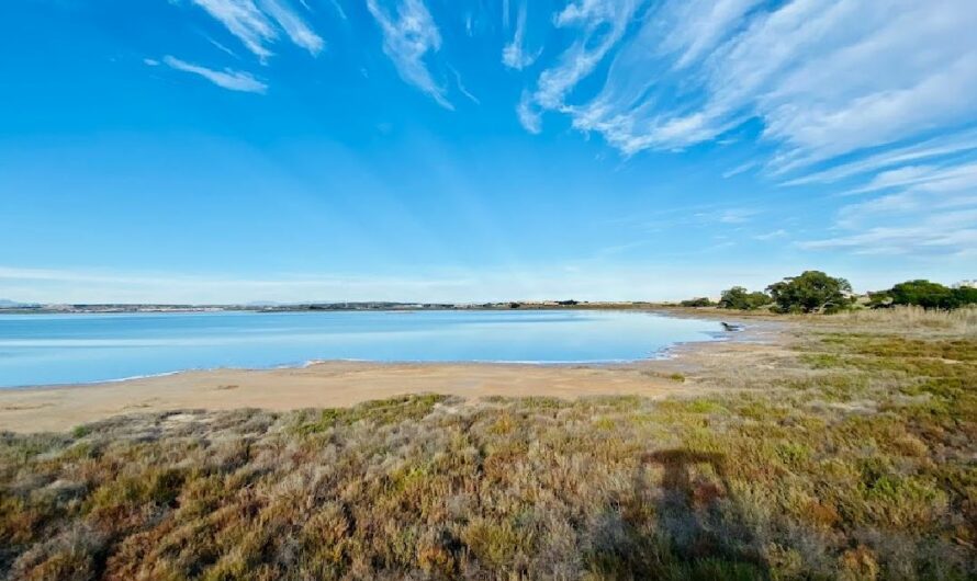 Área recreativa La Pinada