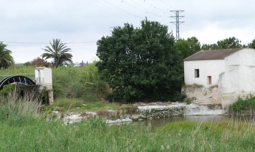 Paraje natural El Molino