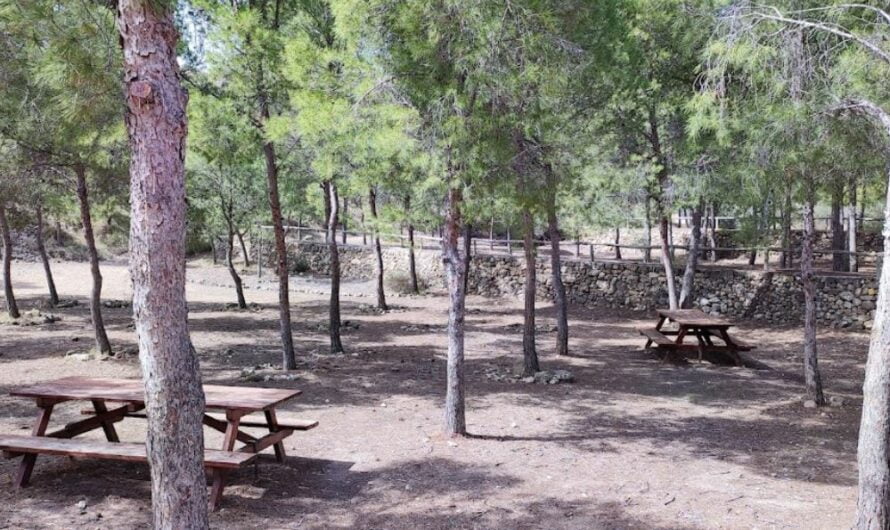 Área recreativa La Palaya