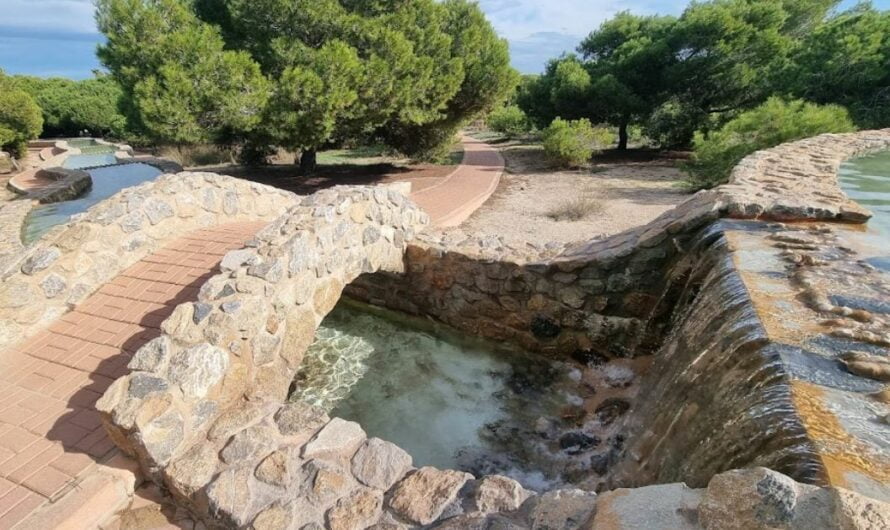 El Esplendor del Parque Molino del Agua